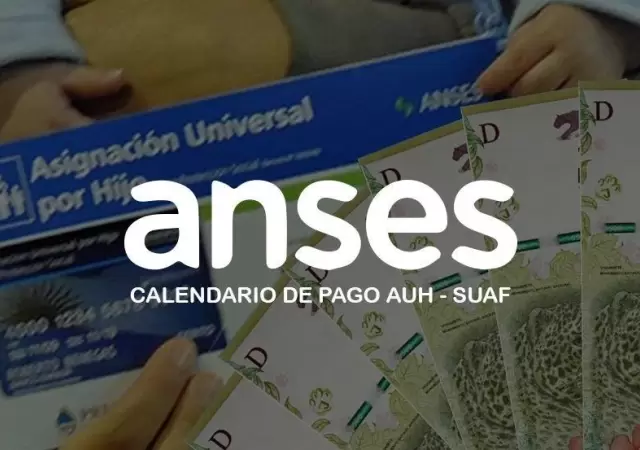 calendario-pagos--auh