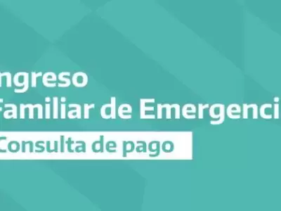 www.mi-anses-gob.ar-ife