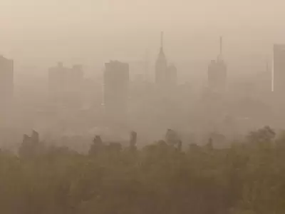 Por fuerte viento Zonda, suspenden clases en el Gran Mendoza, Lavalle y Malarge