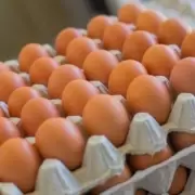 Cada vez m�s huevos: el consumo en Argentina creci� 180% desde 2002