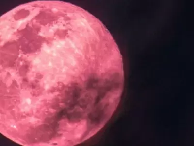 Luna-de-Fresa-Argentina