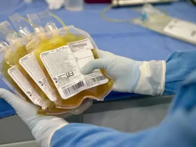plasma-covid