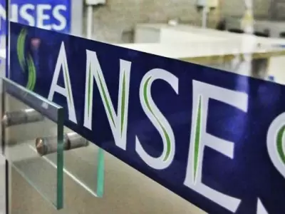 anses-ife-renta-basica