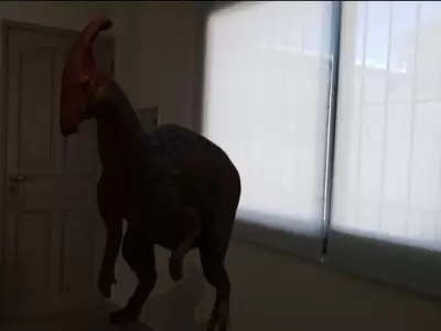 106625274_3104766386277294_3624806873003544559_n