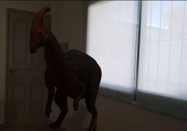 106625274_3104766386277294_3624806873003544559_n