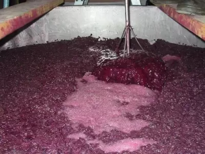 mendoza-Banco-de-Vinos