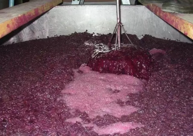 mendoza-Banco-de-Vinos