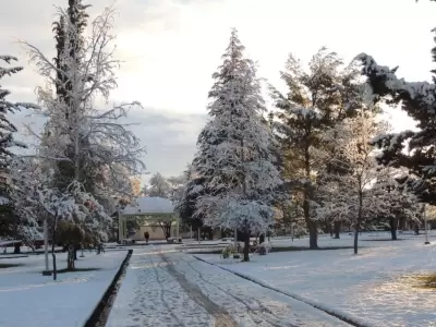 Nieve