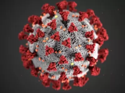 coronavirus-cepas-contagios-estudios-3