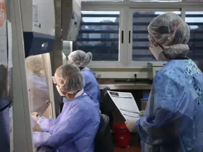 Coronavirus-pais