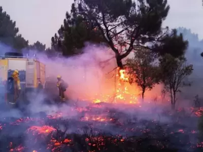 Incendios