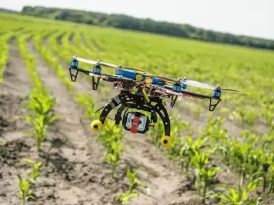 tecnolog�a