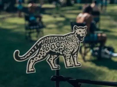Pumas-coronavirus