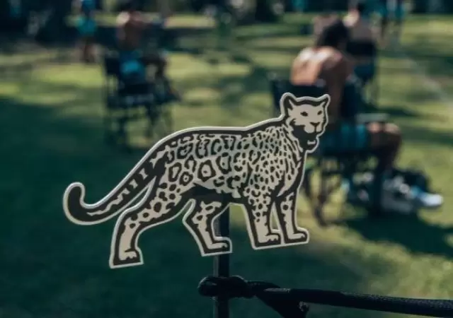 Pumas-coronavirus