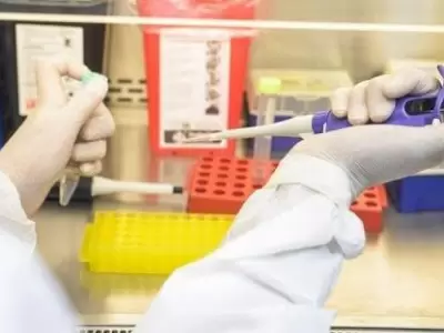 mendoza-coronavirus