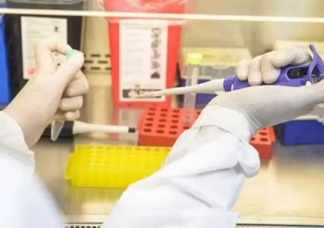 mendoza-coronavirus