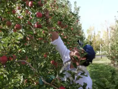 producci�n-agraria