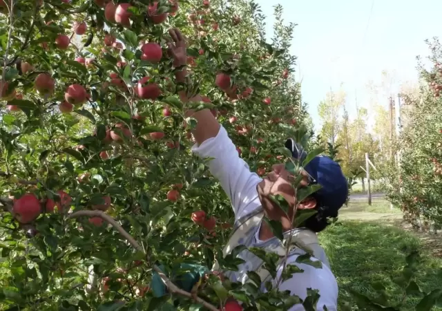 producci�n-agraria
