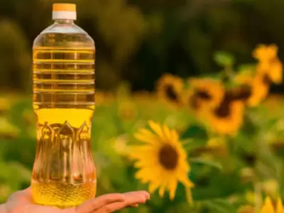 aceite_de_girasol_