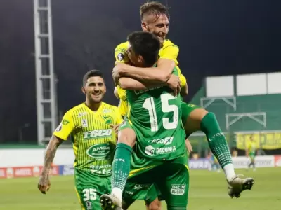 Defensa-Delfin2