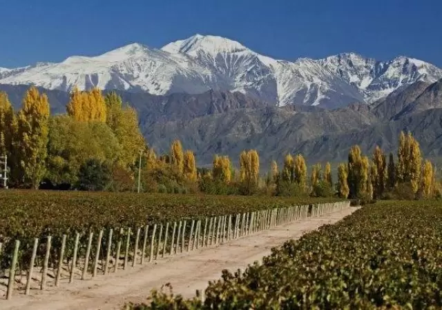 turismo-mendoza
