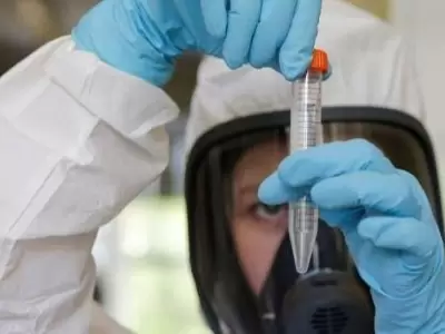 anticuerpo-coronavirus