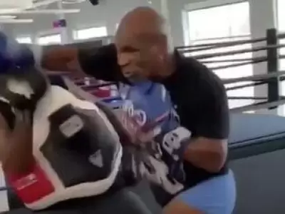tyson-vuelve-a-pelear