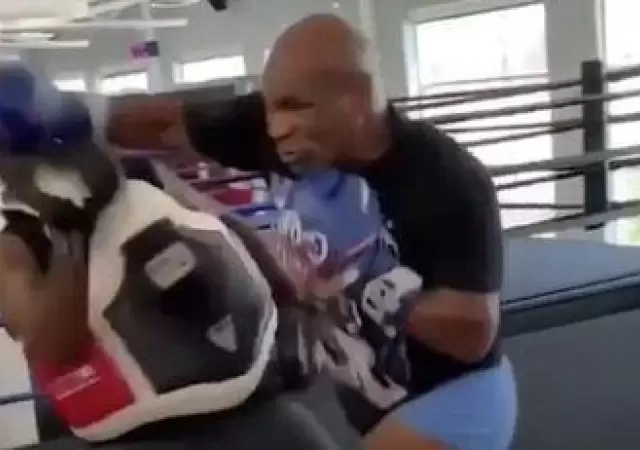 tyson-vuelve-a-pelear