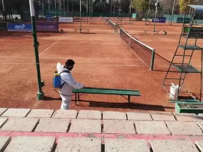 Tenis