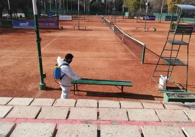 Tenis
