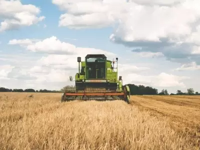 campo