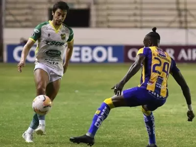 Defensa-Delfin1