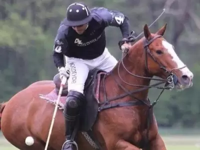 Gonzalo-Bernal1