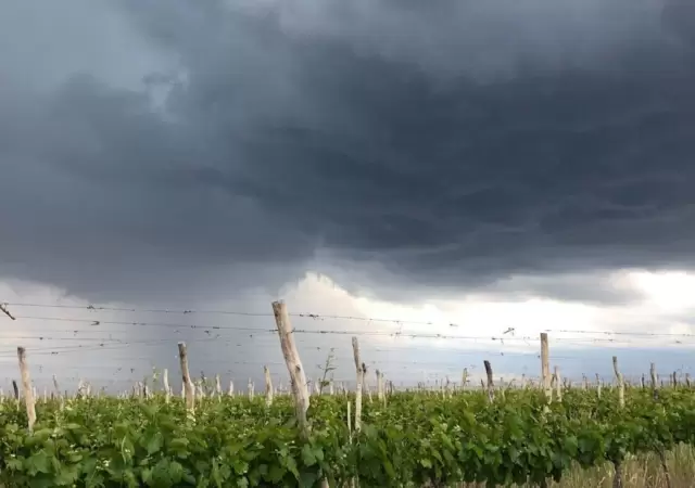 Tormenta