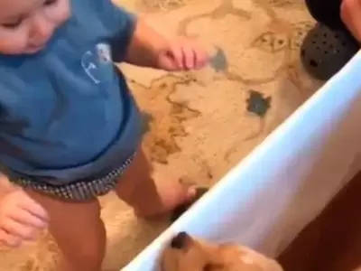 FGWBVXWMTVDTTL6YMMQDJMSREI