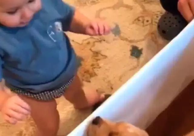 FGWBVXWMTVDTTL6YMMQDJMSREI
