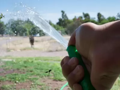 Agua