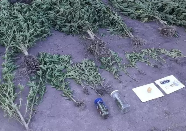 Drogas--allanamiento-Diario-El-Ciudadano