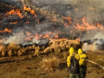 incendios