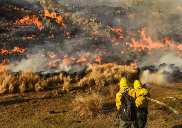 incendios