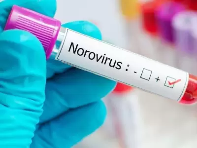 Norovirus