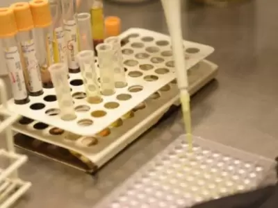 coronavirus-mendoza