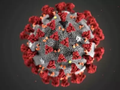 coronavirus-nueva-cepa-en-europa-y-gran-breta�a