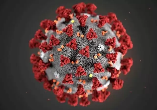 coronavirus-nueva-cepa-en-europa-y-gran-breta�a