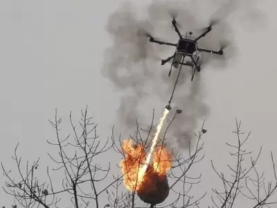 drone-china-avispas