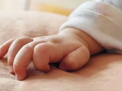 Bebe