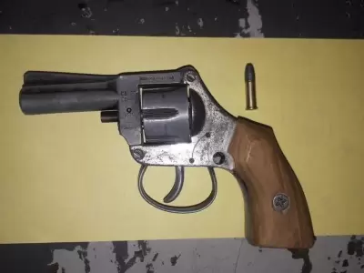 arma-calibre-22