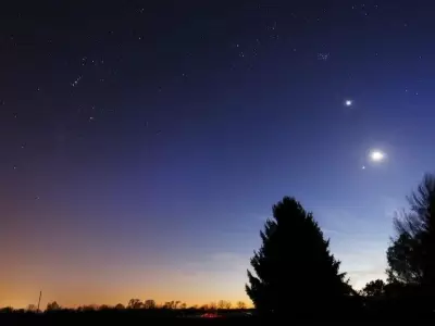 la_estrella_de_belen_joya_life_1