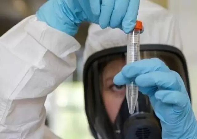 anticuerpo-coronavirus