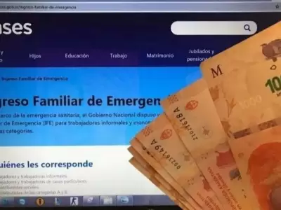 ANSES-IFE-Bono-AUH